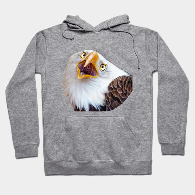 Bald Eagle shout Hoodie by dalyndigaital2@gmail.com